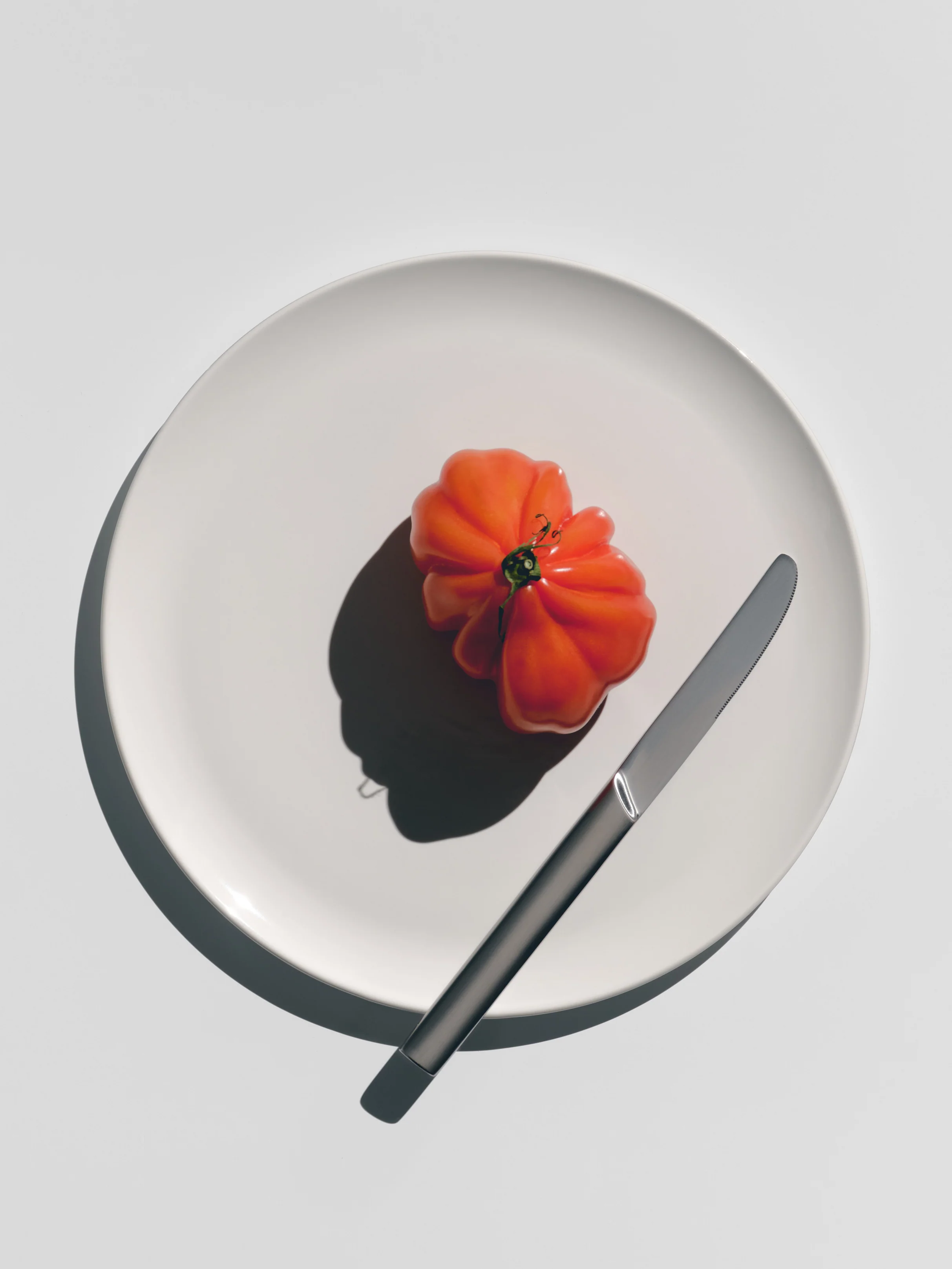 Big Plate, set of 6 - Image 3