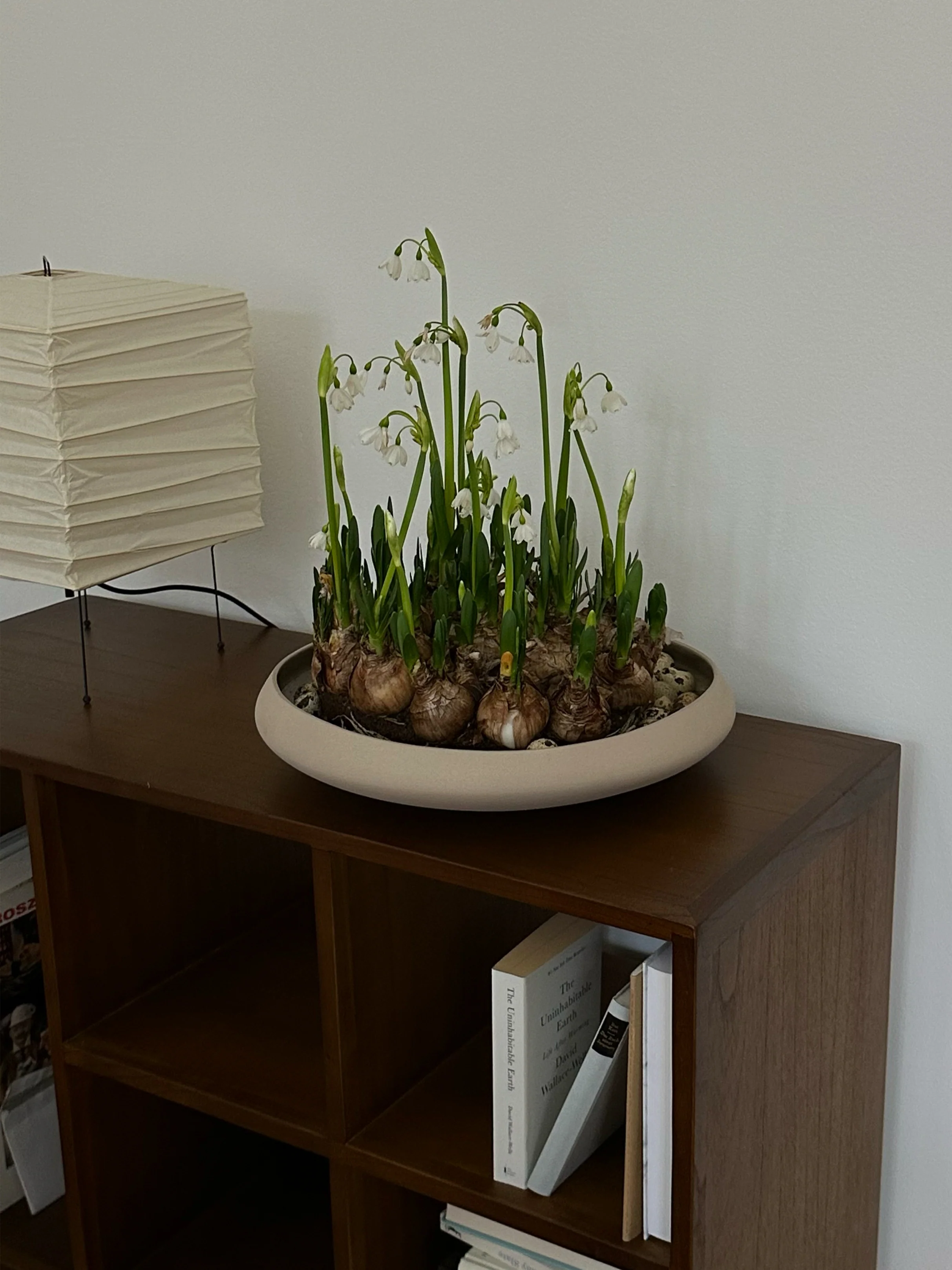 Centerpiece medium, beige - Image 5
