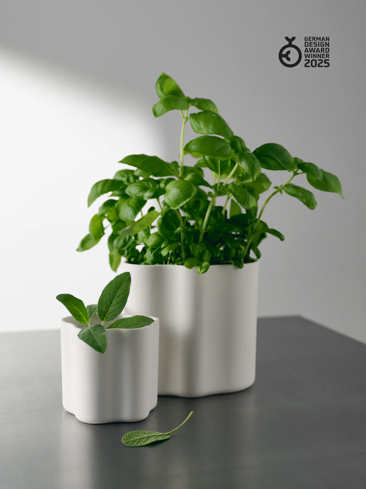 Cloud Jar medium, white, set of 2 - Image 5