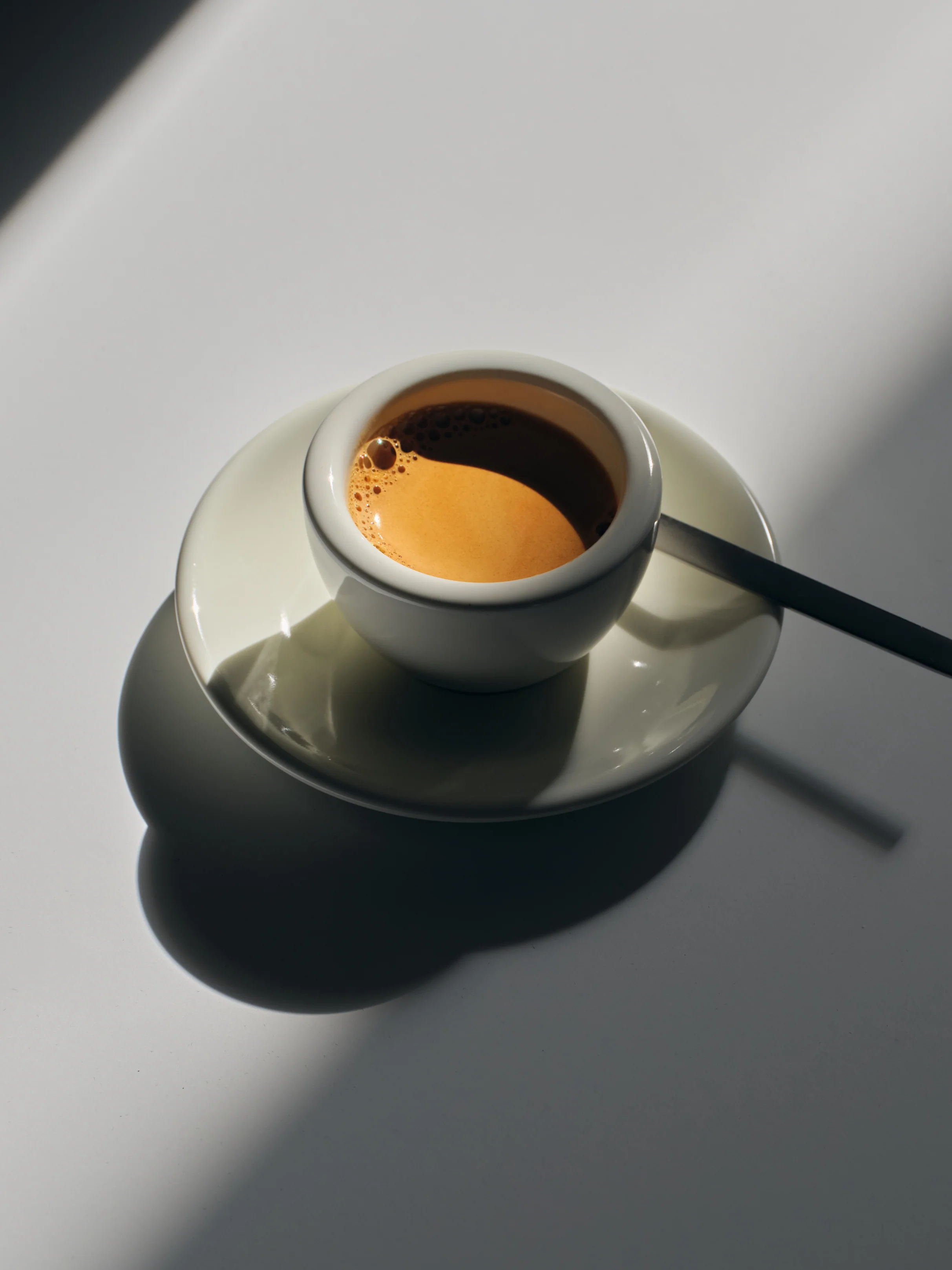 Espresso, creamwhite, set of 2 - Image 3