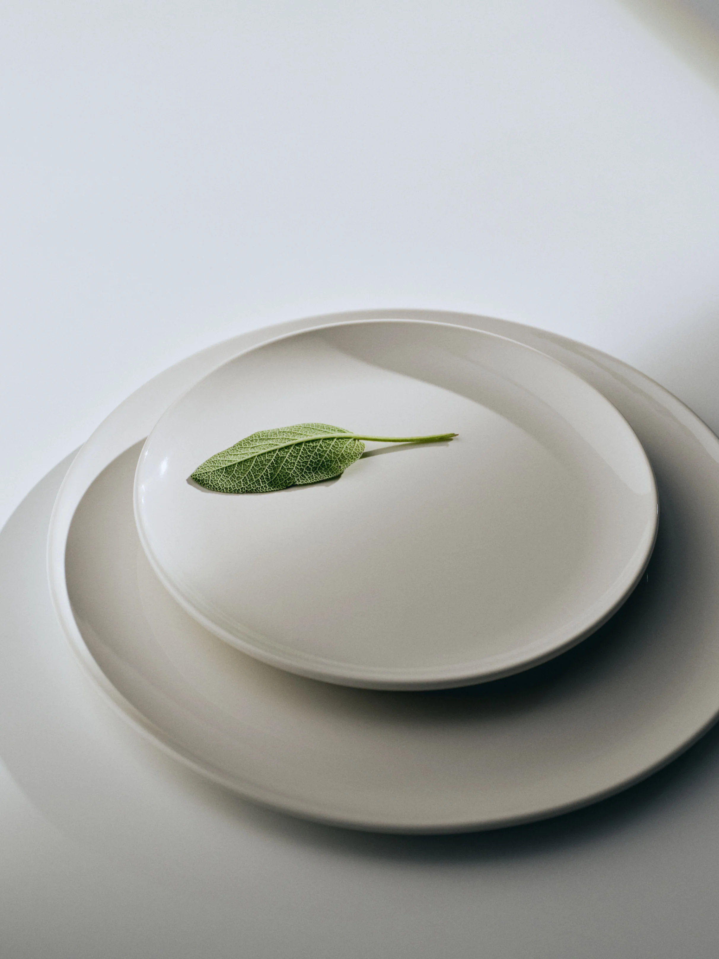Plate Set, 8 pieces - Image 3